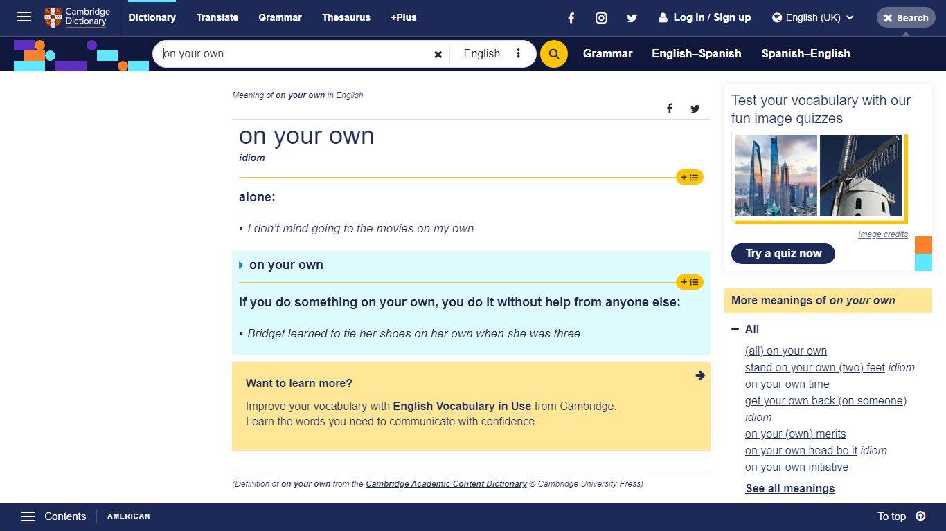 ON YOUR OWN | meaning in the Cambridge English Dictionary